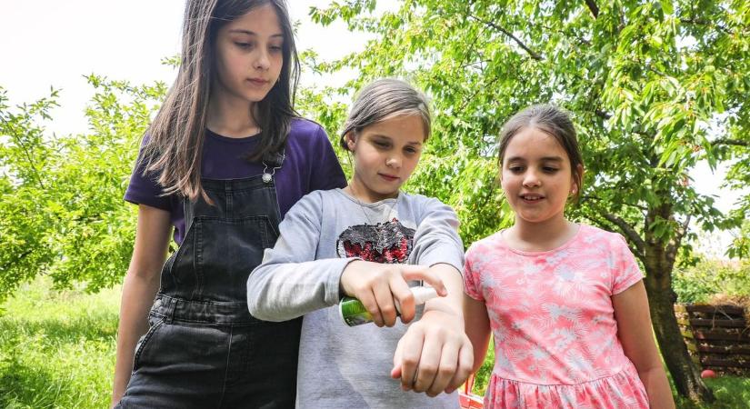 Kétszer is elkapta a Lyme-kórt – és nem is az erdőben történt! Súlyos bénulás kopogtatott! - Bama