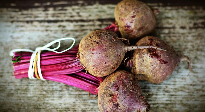 Rekordmagas az ukrán cékla ára - Agrotrend