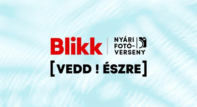 A „Blikk nyári fotóverseny” pályázatának hivatalos szabálya - Blikk - Kvíz