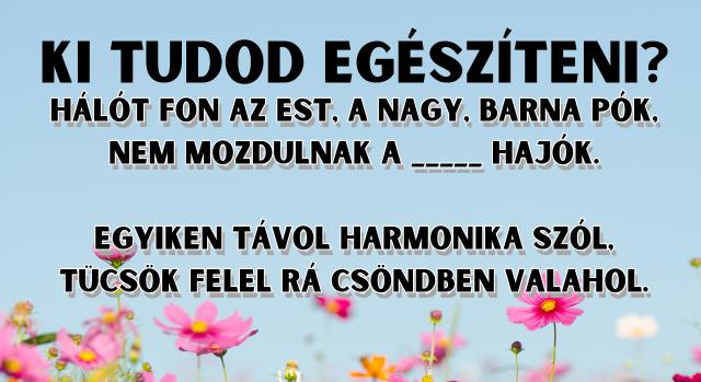 Napi irodalom feladat: Felismered a verset? - Keresztlabda