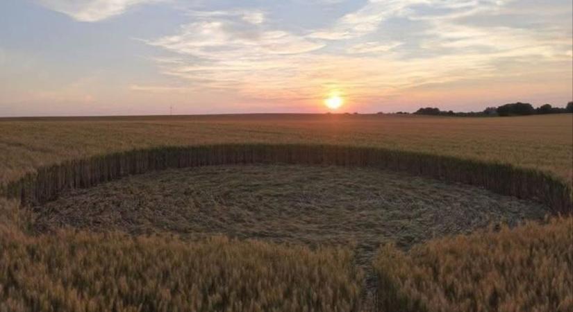 UFO szállt le a dunántúli gabonatáblában? Vagy más a magyarázat erre a meghökkentő olvasói fotóra? - Zaol