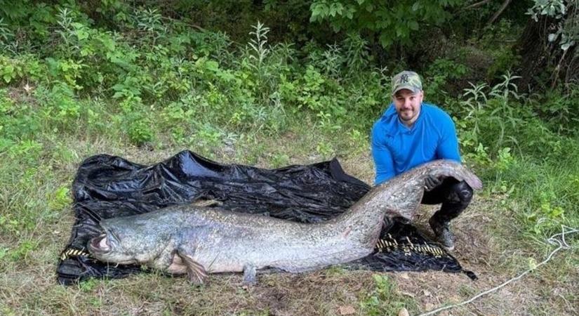 Brutális, mit küzdött az Ároktőnél fogott őshal! Itt nem csak a horgász vívta élete harcát – fotókkal - Boon