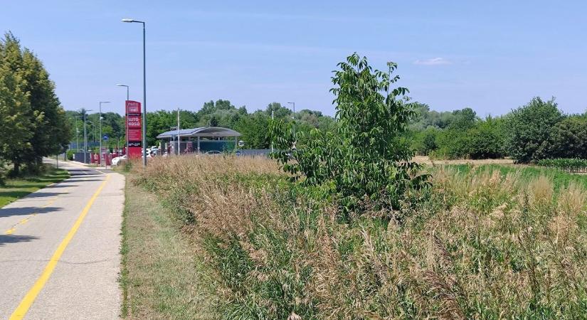 Oladi területeket (is) értékesíthet Szombathely városa - Kell-e környezetvédelmi hatástanulmány? - Vaol