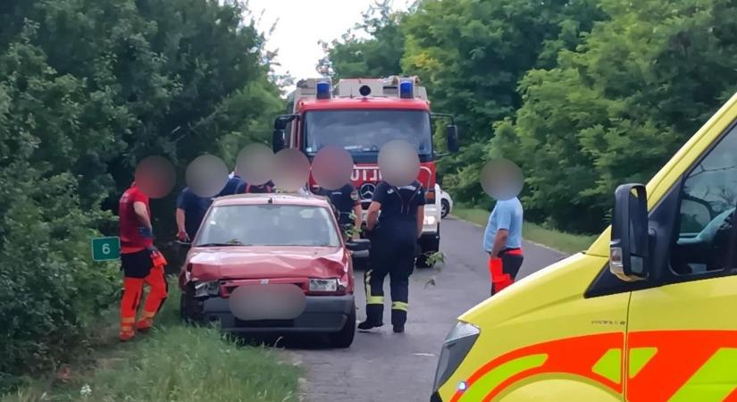 A gazdik és a cicájuk is szerencsésen megúszták a balesetet - Szoljon