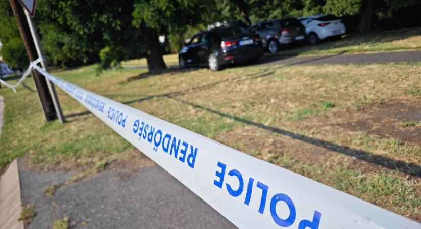 Rengeteg rendőr a helyszínen, emberi maradványokra bukkanhattak a patakparton – gyilkosság áldozatára találtak rá? - Zaol