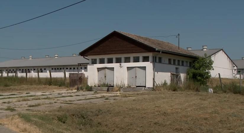 Kollégája mentése közben meghalt egy fiatal férfi Barcson - HVG - Itthon
