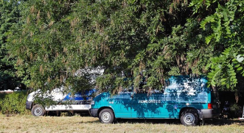 Emberi maradványokat találhattak a patak partján, több évtizede megoldatlan ügy zárulhat le - Veol