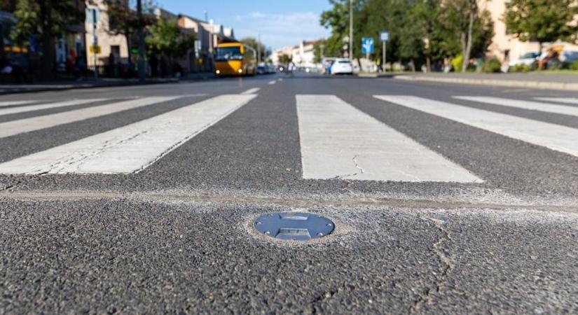 Lezárult a szavazás, mutatjuk hol lesznek új okoszebrák - Kisalföld
