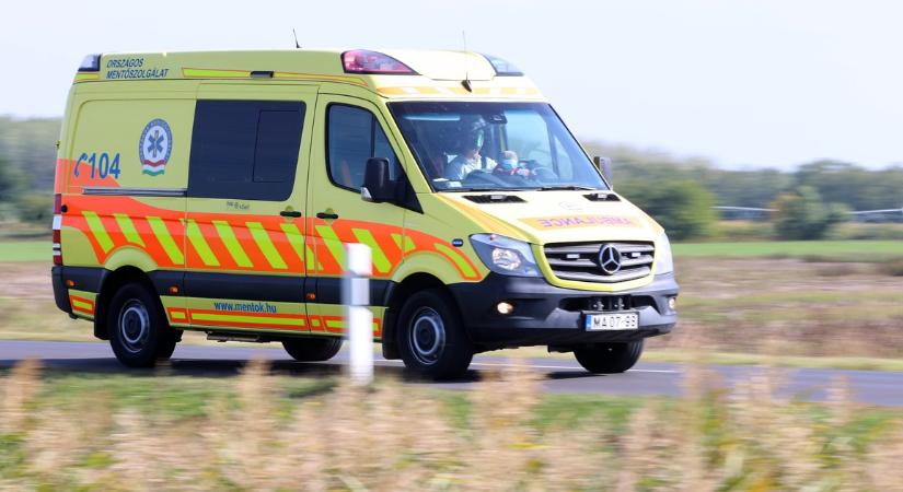 Meghalt egy autós Ráckevénél - Blikk - Kvíz