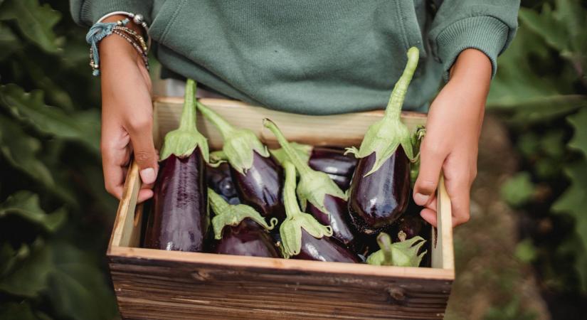 Figyelem! Ez a közkedvelt zöldség rengeteg vegyszert tartalmaz, és komoly egészségkárosodást okozhat - Marie Claire