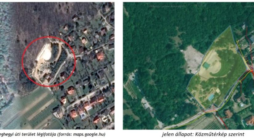 A csopaki Öreghegyről eltűnt védett erdőrész után nyomoznak helyi civilek - hírbalaton