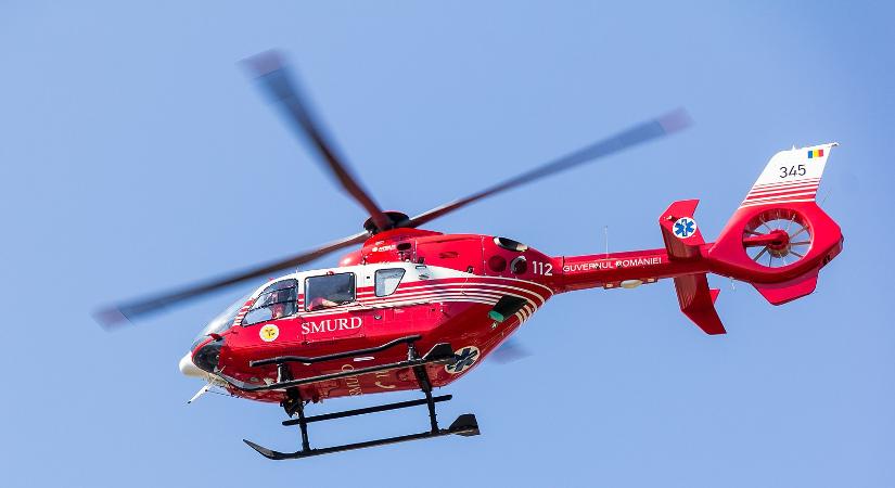 Ismét támadott a medve Háromszéken – helikopterrel mentették a sérültet - Maszol