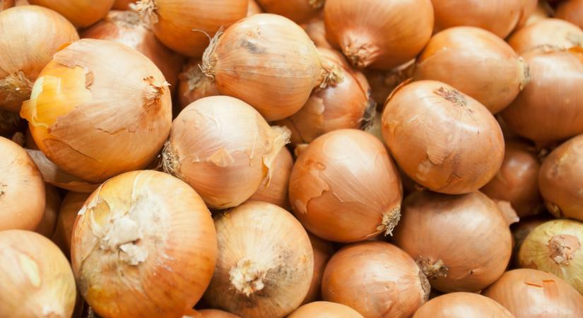 Egyiptomi hagymával árasztottak el rengeteg piacot: hol van a helyi áru? - Agrárszektor