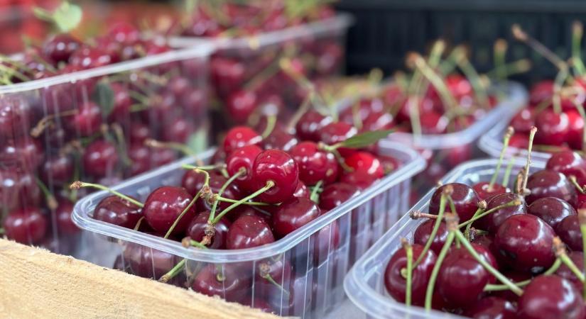 Óriásit esett a meggy és cseresznye ára, de még mindig hátast dobsz tőle - Kemma