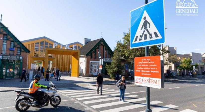 Lezárult a 2025-ös okoszebra-szavazás - IOT Magazin