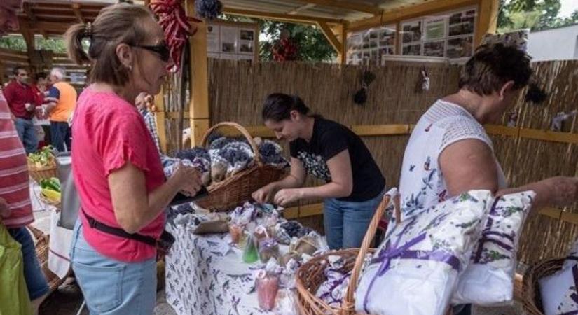 Szőnyegek és levendula termékek a közfoglalkoztatási vásárban - Sonline