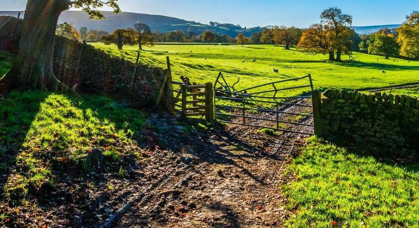 A farm, ahol minden a régi – és ez a legjobb benne - Agrofórum