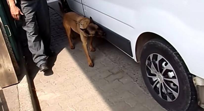 Repült a gigabírság a szabolcsi határon - Elképesztő rejtekhelyen bukkantak a csempészárura! (videó) - Szon