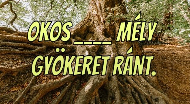 Napi közmondás feladat: Ki tudod egészíteni? - Keresztlabda
