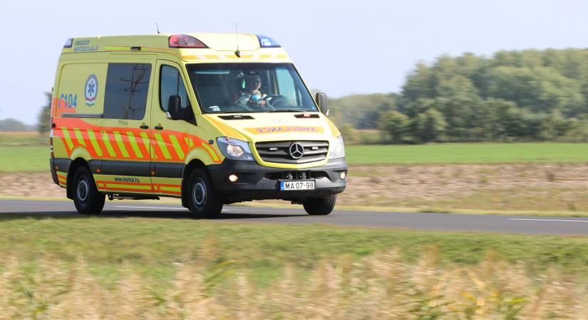 Eltűnt idős férfi holttestére bukkantak Szekszárdon egy gazos területen - Blikk