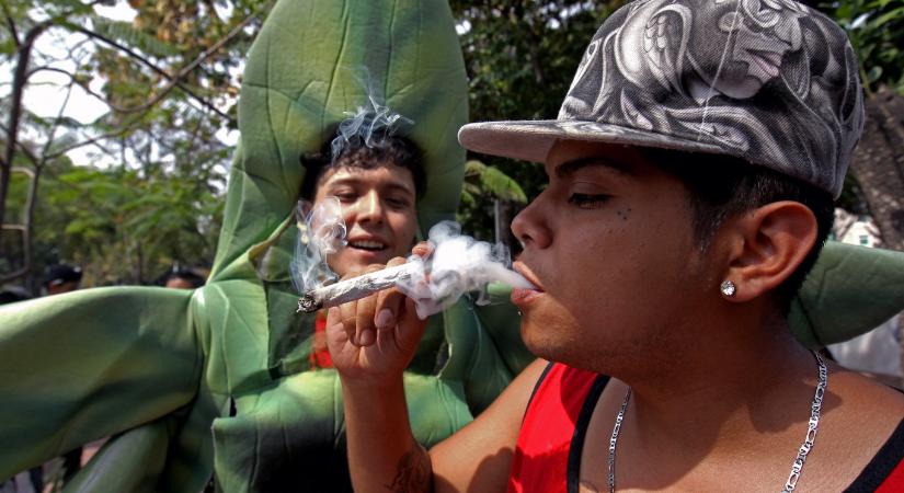 A rendszeres kannabiszhasználat növeli a szív- és érrendszeri betegségek kockázatát - Qubit