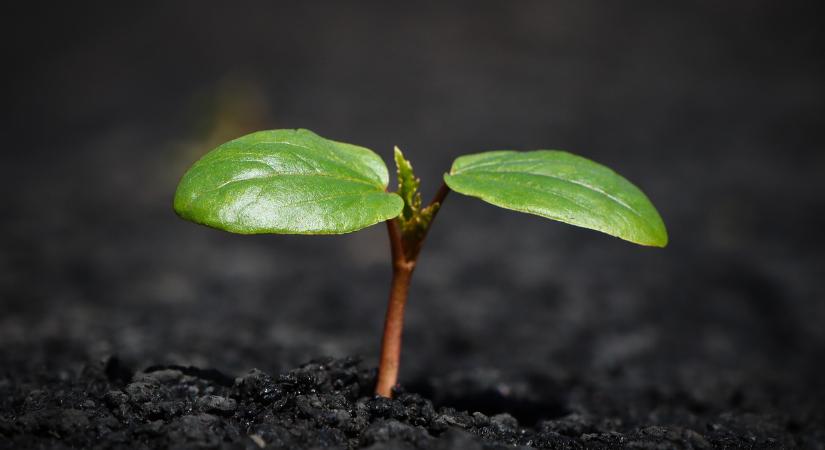 Az UNESCO aláírta a Talajmisszió Kiáltványát, erősítve a talajegészség iránti globális elköteleződést - Agrotrend
