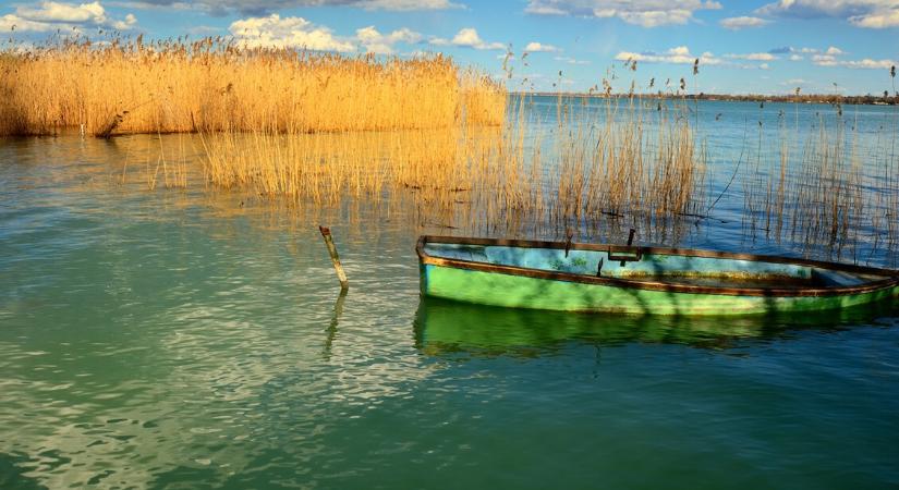 Bezöldült a Balaton – szakértő az algavirágzásról - HáziPatika