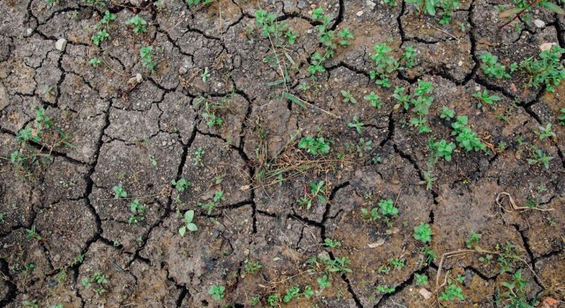 Megkongatták a vészharangot: válságos a magyar termőföldek állapota - Agroinform