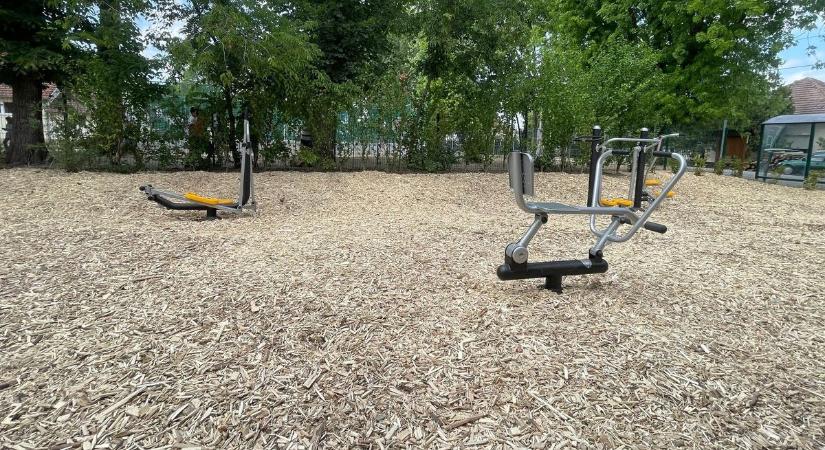 Itt aztán mindenki kimozoghatja magát, a közösség összefogott a jó ügyért - BAON