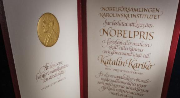 Kíváncsi vagy Karikó Katalin Nobel-díjára? Most te is megtekintheted - Könyves Magazin