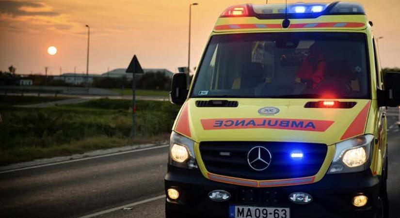 Beájult a rózsabokrok közé, mentősök élesztették újra a szabolcsi férfit - HáziPatika