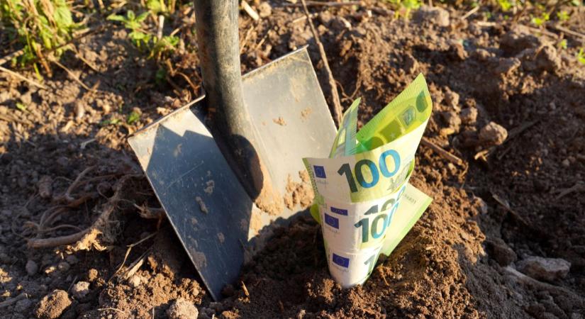 Mennyire hatékony az agrártámogatások kifizetése? Megoszlanak a vélemények - Agroinform