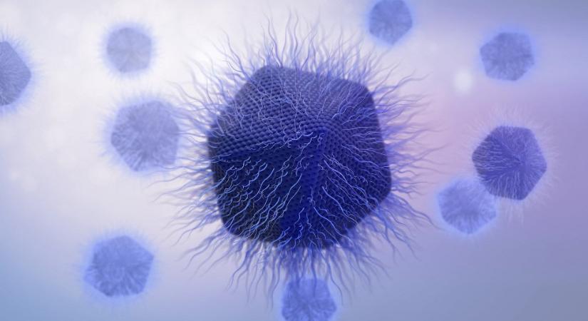Megszólalt a gyermekorvos az agyevő amőbával kapcsolatban - 168.hu