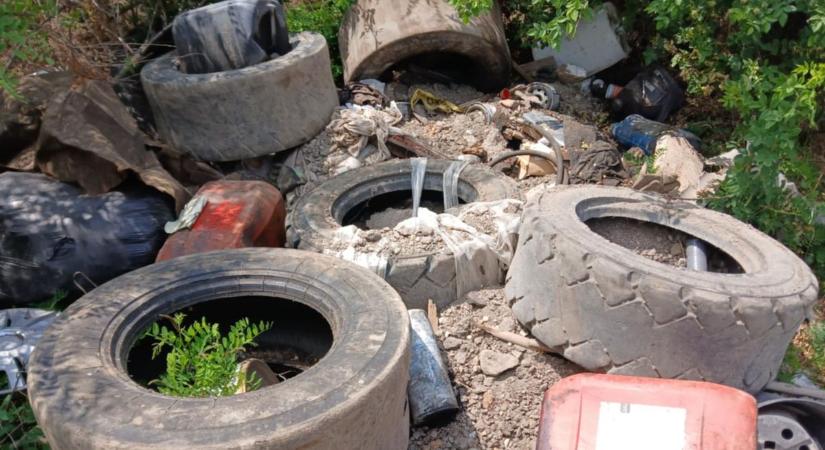 Extrém dolgot fedeztek fel az abonyi közterület-felügyelők, furcsa dolog lapult a bokorban - Szoljon