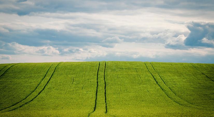 Elindult a vidéktámogató honlap - Agrotrend