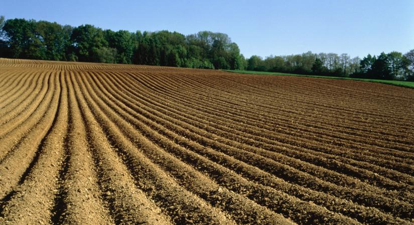 Nem mindegy, milyen talajba ültetik a gazdák a növényeket: itt az igazság - Agrárszektor