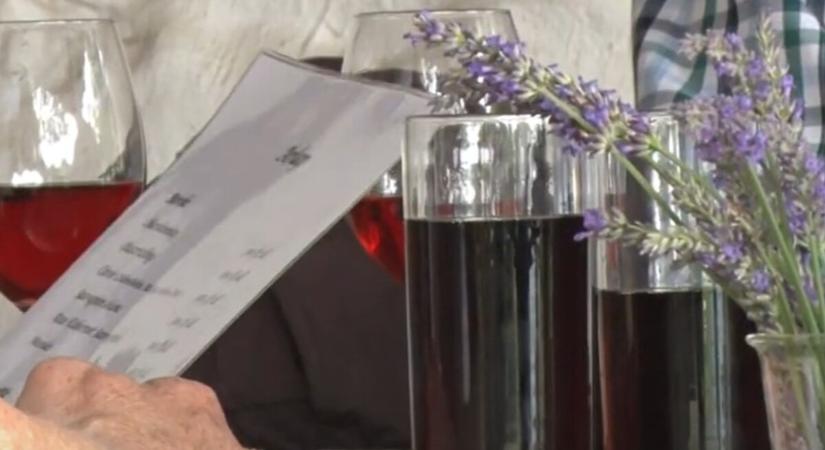 Június utolsó hétvégéjén újra a fröccsöké lesz a fő szerep Cserfőn - Kanizsa Újság