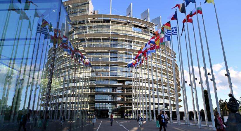 Létrejön az Európai Parlementen belül egy vizsgálóbizottság a gyanus NGO-szerződések vizsgálatára - Tudás.hu