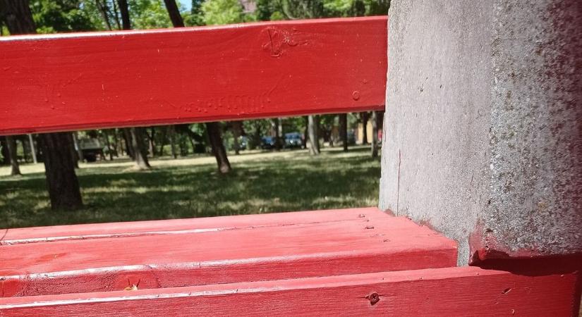 Undorító, belső szerveket találtak a Derék utcán, fotón a gusztustalanság - Haon