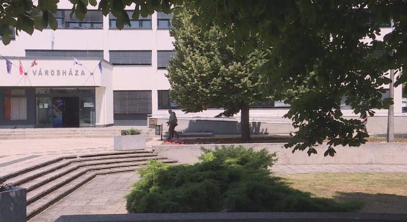 Fürkészdarázzsal az aknázómoly ellen - TelePaks