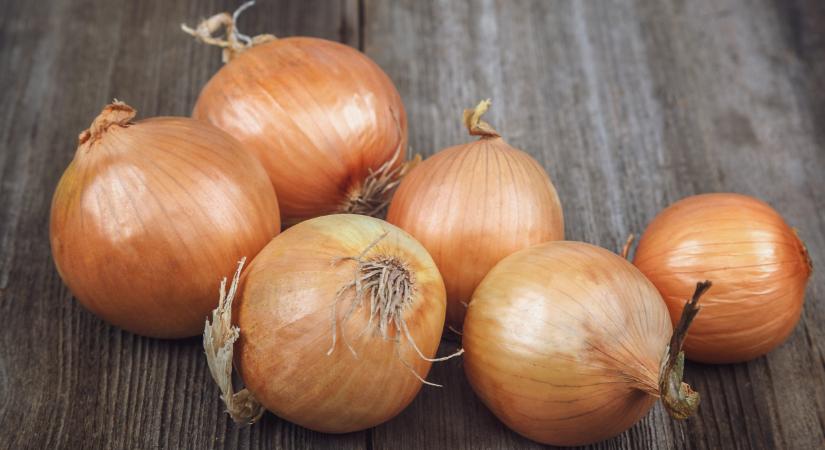 Ömlik az import hagyma Európába: nem is gondolnád, honnan érkezik a java - Agrárszektor