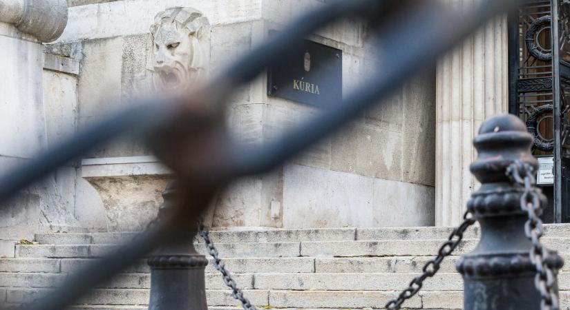 Jogsértőnek tartják a Kúria döntését, hogy a gyülekezés szabadságával élni nem lehet, kirekesztő nézeteket terjeszteni viszont igen - Népszava