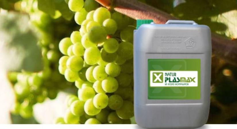 Extra tömény készítmény gyümölcsösökben – most két pontot ér az AÖP-ben - Agroinform
