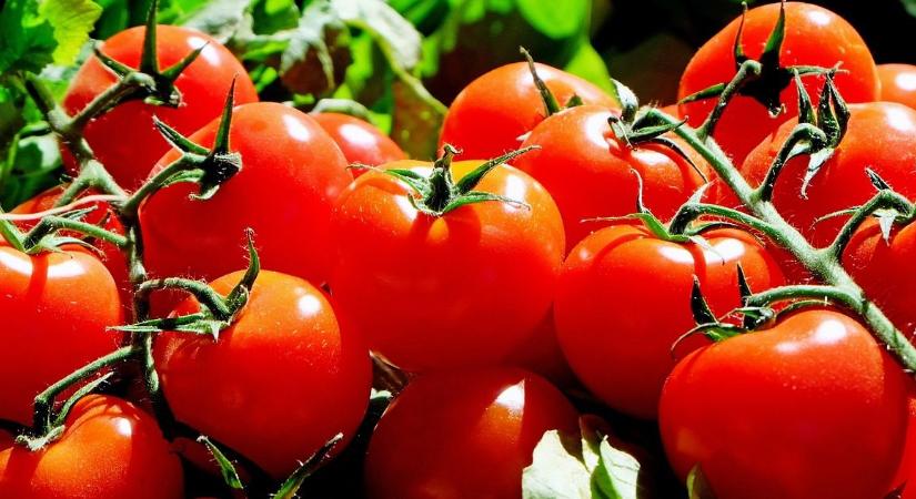 Árzuhanás a paradicsomválasztékban és bőséges jégkrémkínálat a PENNY-ben - Akciós Újság