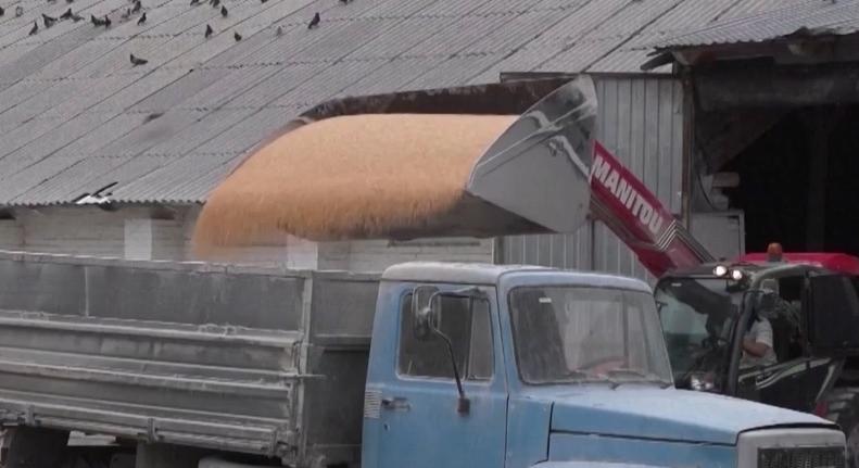 Radar – Nem sok jóra számíthatunk a GMO-s gabonától  videó - HírTV