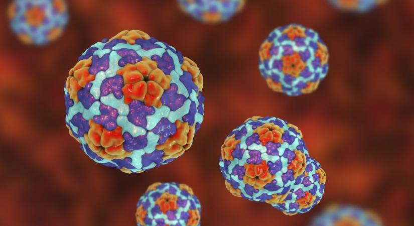 NNGYK: továbbra is jelen van a hepatitis A hazánkban - 24.hu