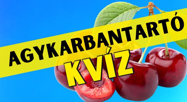 Napi agykarbantartó: Fejleszd az elméd! - Keresztlabda