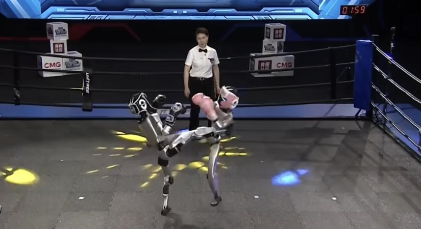 Így néz ki, amikor humanoid robotok ütik-verik egymást - Player