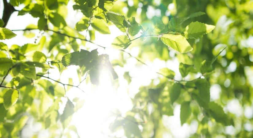 Hétvégi időjárás: napsütéses és csapadékmentes - Köpönyeg