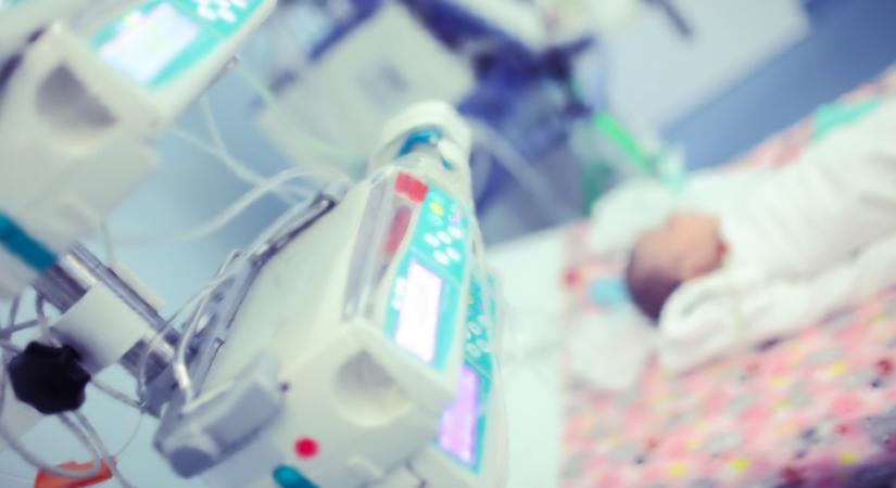 Egy gyerek meghalt, 7 megbetegedett: két hentesüzletet zártak be egy fertőzés miatt - TWN